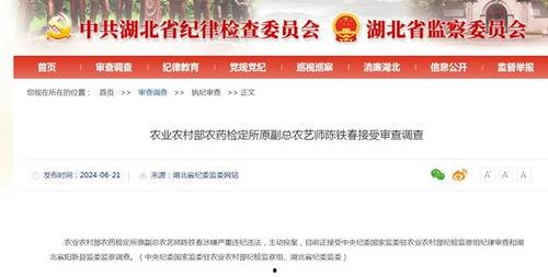 竹山农香最新爆料新闻,最新爆料新闻背后的真相 第3张 竹山农香最新爆料新闻,最新爆料新闻背后的真相 第3张