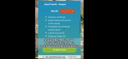 yy熊猫最新爆料消息,揭秘娱乐圈最新动态 第2张 yy熊猫最新爆料消息,揭秘娱乐圈最新动态 第2张