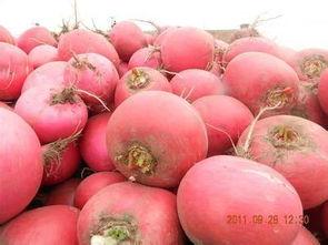 东北网红大瓜都有谁吃,揭秘那些被“瓜分”的明星与网红